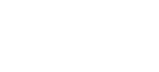 UEFA Women's Champ L